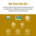 Om Mushroom Superfood Master Blend - Certified Organic Mushroom Powder - 80 Ser