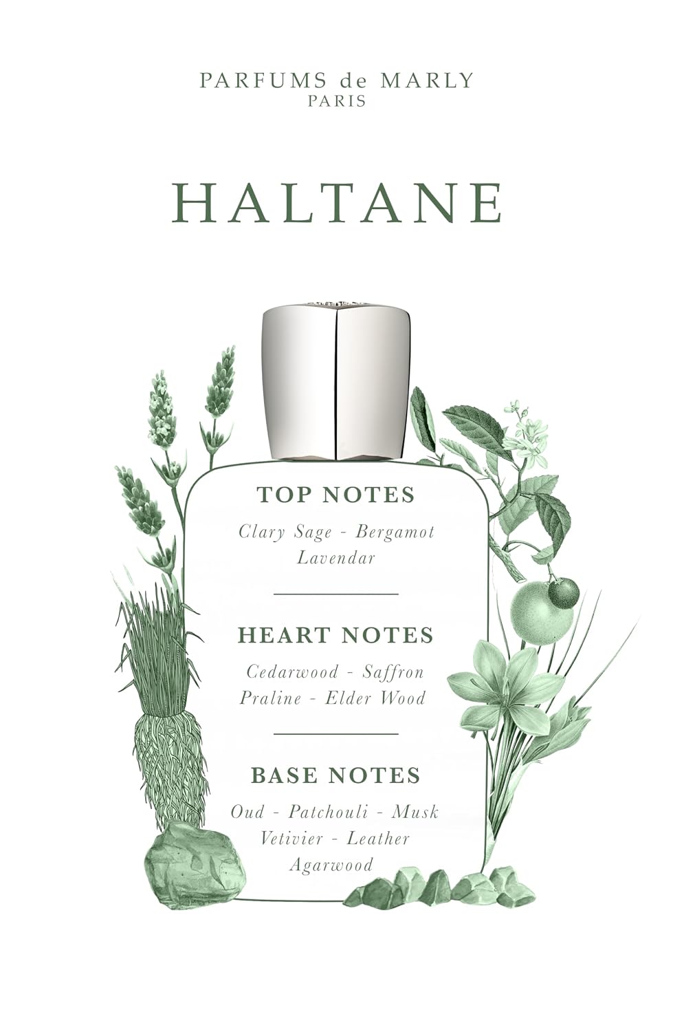 Parfums de Marly Haltane Eau de Parfum – Luxury Men’s Fragrance